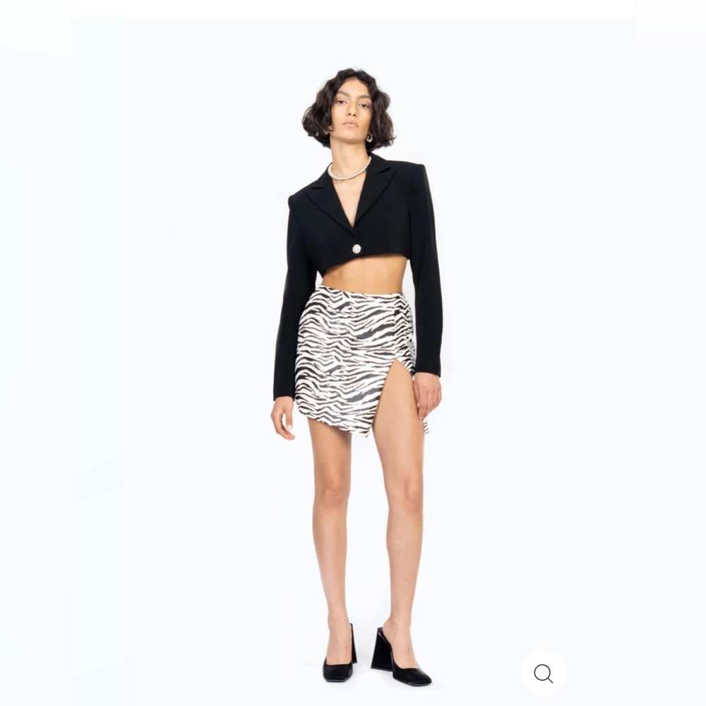 Ronny Kobo Fallon Skirt in Zebra Size M